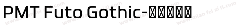 PMT Futo Gothic字体转换